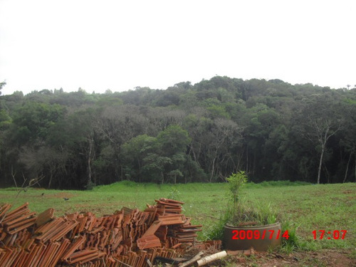 Imagem 3 de 13 de 4 Terrenos No Bairro Do Cupim