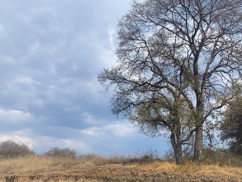 Terreno En Venta En Rancho San Juan, Atizapán De Zaragoza