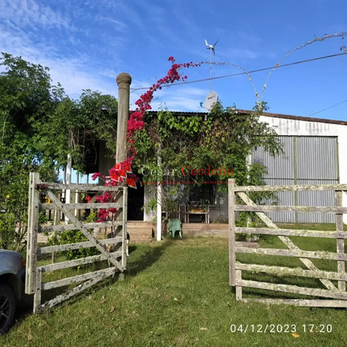 Venta - Campo De 112 Hectareas Rocha