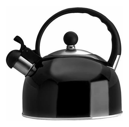 2.5 Liter Whistling Tea Kettle - Modern Stainless Steel Whis