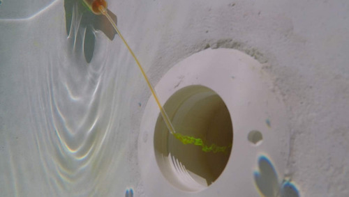 Kit Detección Fugas Tinte Piscina Marca Sin Modelo Amarillo Color De La Luz