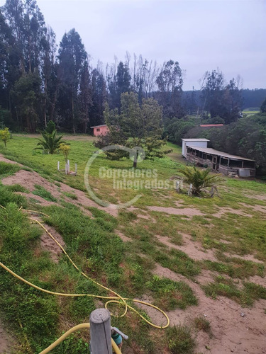 Condominio Consolidado, 4 Dorm. En Quintero