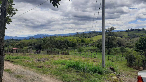 Imagen 3 de 15 de Venta Lote Esquinero -620 Mts2 - Julumito Popayan