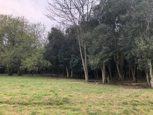 Terreno - Villa Elisa
