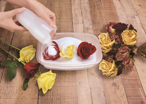 Sílica Redry 1kg Secagem Profissional De Flores