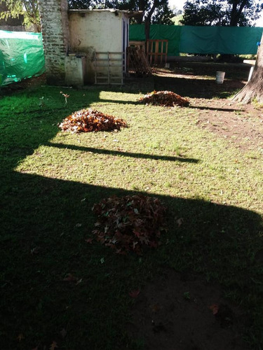 Imagen 5 de 13 de Terreno - Trujui