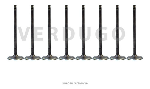 Kit Valvulas De Escape Nissan Np300 Bencinera - Original