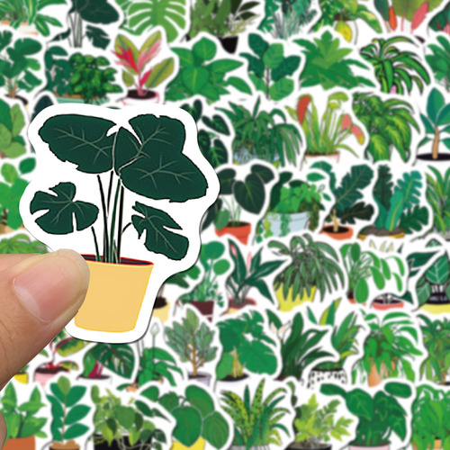 Adesivos De Grafite De Vasos De Plantas Verdes Para Crianças