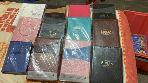 Lote De Biblias