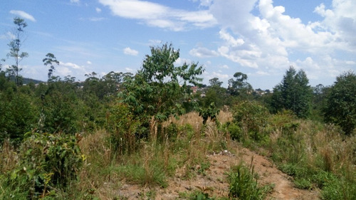 Imagem 22 de 30 de Terreno Botujuru Mogi Das Cruzes Sp Brasil - 87