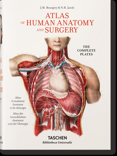 Libro Bourgery. Atlas De Anatomã­a Humana Y Cirugã­a - Le...