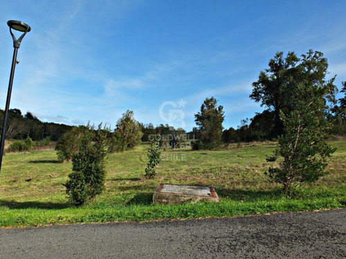 Condominio Consolidado | Acceso Al Lago Llanquihue