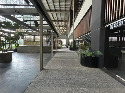 Local Comercial En Renta, Américas, 281 M2
