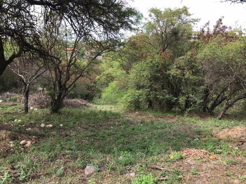 Imagen 1 de 12 de Terreno En Venta Cinco Lomas