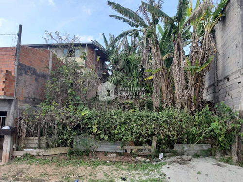 Imagem 6 de 11 de Terreno, Jardim Monte Verde (caucaia Do Alto), Cotia - R$ 120 Mil, Cod: 4253 - V4253
