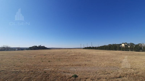 Imagen 10 de 14 de No Lo Pierda! Central 2250m2 Seguridad Disfrute De La Tranquilidad