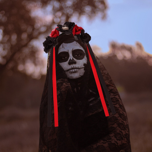 2 Diademas De Flores Rosa Mexicana Dia De Los Muertos Cuotas sin interés