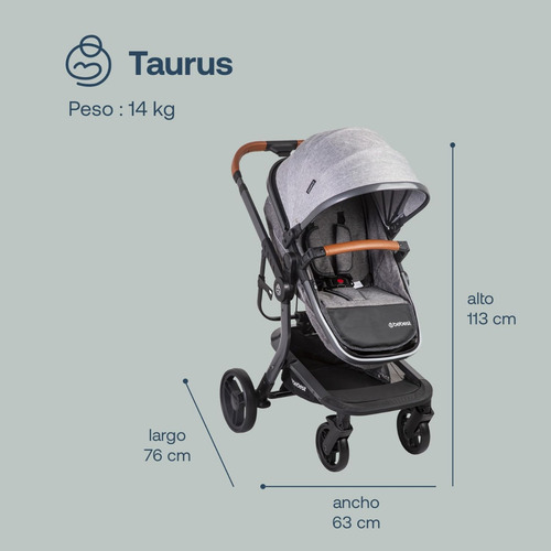 Carriola Travel System Taurus Bebesit Gris