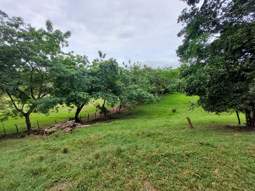 Venta De Lote En Santa Fe De Antioquia - Vereda El Espinal