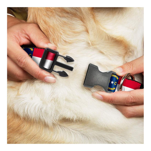 Collar Para Perro Buckle-down Nc Bandera Multicolor. Talle M