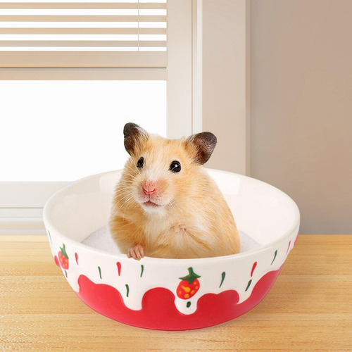 3 Plato De Alimentación Para Mascotas Pequeñas, Cuenco