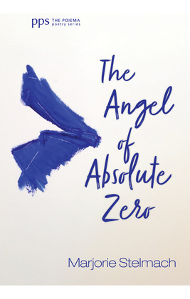 Libro The Angel Of Absolute Zero - Stelmach, Marjorie