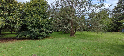 Casa Quinta 1 Hectarea 7 Ambientes Oportunidad Miramar. V4342
