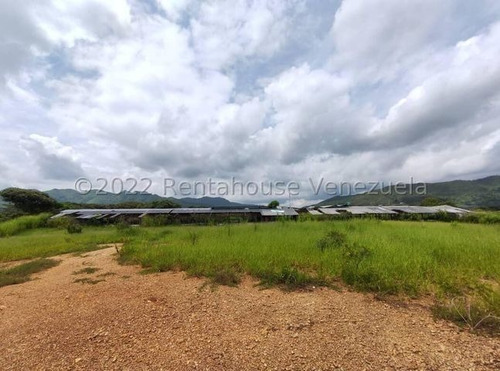 Imagen 4 de 20 de Finca Avicola En Venta Bejuma Carabobo