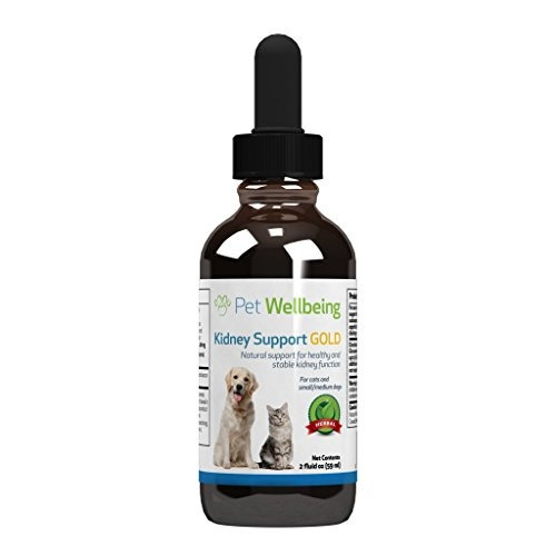 Pet Wellbeing Kidney Support Gold Para Gatos Natural Support