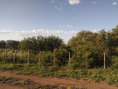 Lote De 1207 Mts2 Camino A Arroyo El Palmar.