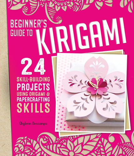 Libro: Beginnerøs Guide To 24 Skill-building Projects Using