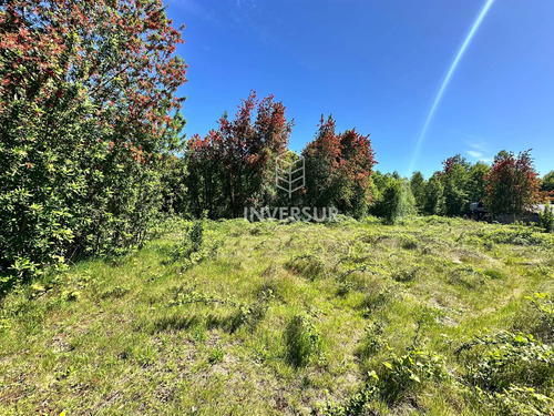 Terreno Con Gran Potencial Y Tranquilidad (135336)