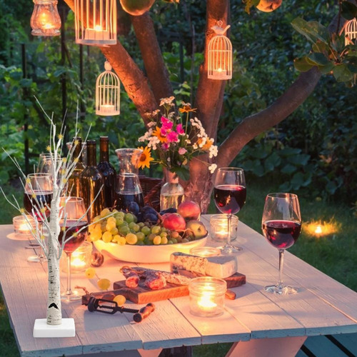 Árbol De Abedul Iluminado Alimentado Por Batería, 24 Led, Pa