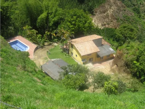 Finca En Vender En Dabeiba
