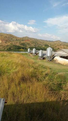 Venta Granja Integral Productiva Avicola Ganadera Y Minera Tinaquillo Edo. Cojedes Negociable Con Financiamiento Jm