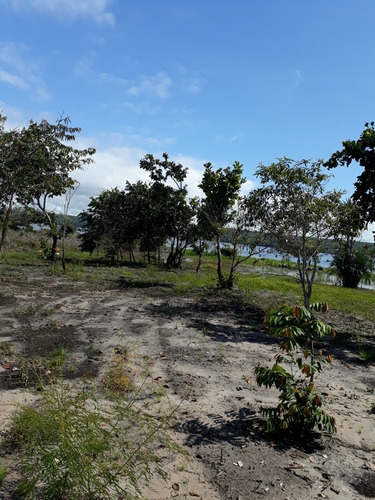 Imagem 7 de 11 de Vende/troca Chácara 13x77 Beira Do Lago/luzimangues