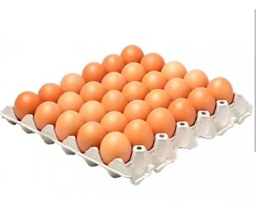 Oclusión Cuña Llanura Maple De Huevos Grandes | MercadoLibre 📦