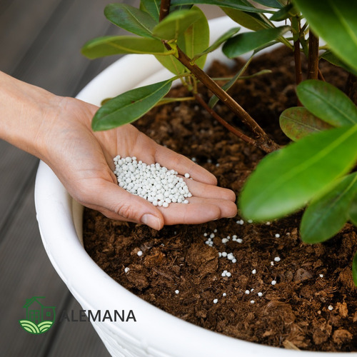 Imagen 5 de 9 de Sulfato De Hierro X 1 Kg Fertilizante Grhesa