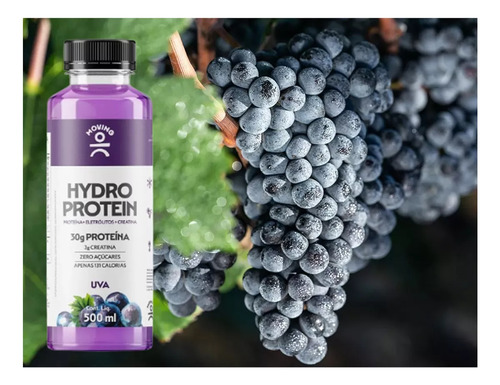 Bebida Isotônico Creatina Moving Hydro Protein 12x500ml