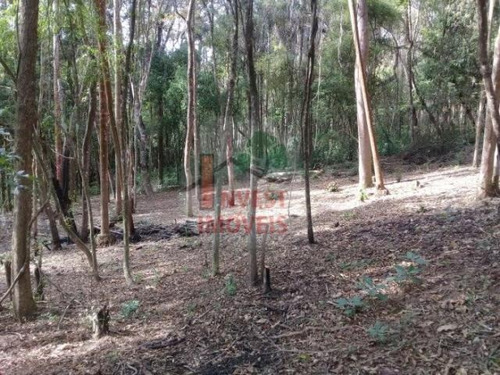 Imagem 4 de 14 de Cod 3840 - Maravilhoso Terreno De 3000 M². - 3840