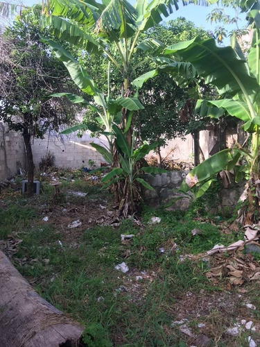 Imagen 9 de 18 de Terreno 220 M2 Escriturado, Colosio, Playa Del Carmen P3551