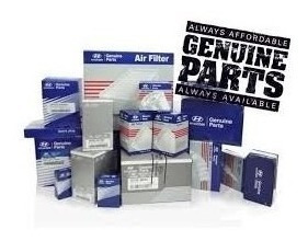 Filtro Gasolina Hyundai Santa Fe 2.7 01-05