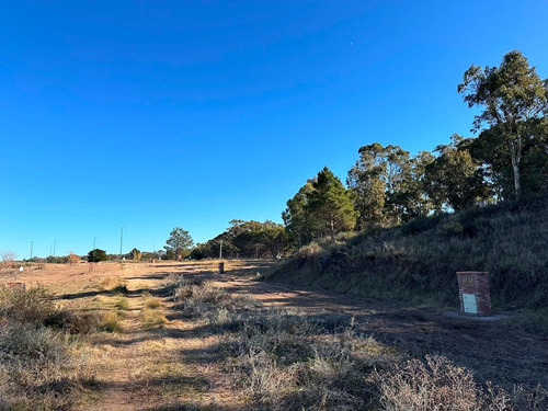Lotes En Venta Reserva Darwin!! Balneario Pehuen Co