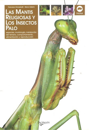 Las Mantis Religiosas Y Los Insectos Palo