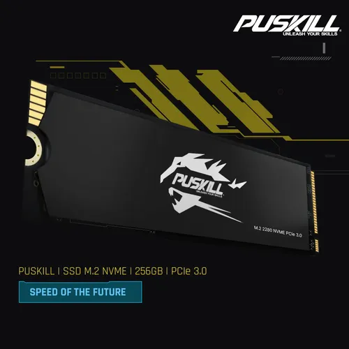 SSD Puskill M.2 NVMe 256GB PCIe 3.0x4 - Leitura 3300MB/s - Para