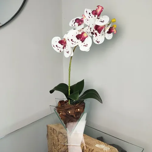 Arranjo Decorativo De Orquídea Realista Com Vaso Moderno Orquídea Branca Dois