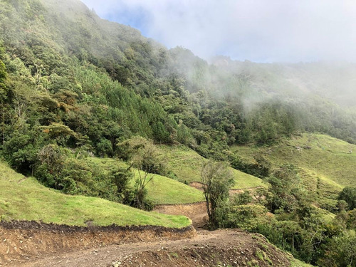 Imagen 9 de 11 de Finca Abejorral, Antioquia - Se Vende