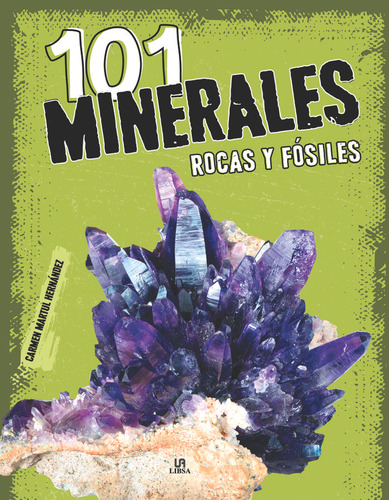 101 Minerales Rocas Y Fosiles, De Martul Hernandez, Carmen. Editorial Libsa, Tapa Dura En Español, 2024