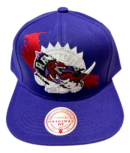 Gorra Mitchell And Ness Nba Paint By Number Snapback Raptors