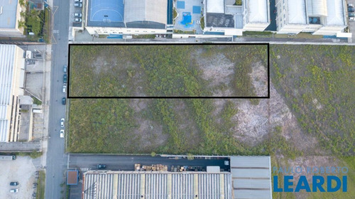 Imagem 3 de 6 de Terreno - Tamboré - Sp - 592443